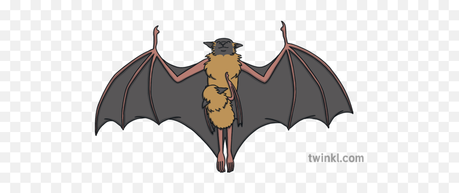 What Is A Bat - Answered Twinkl Teaching Wiki Fictional Character Png,Simple Bat Icon
