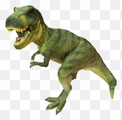 Dinosaurs - Content ClassConnect Tyrannosaurus Rex png