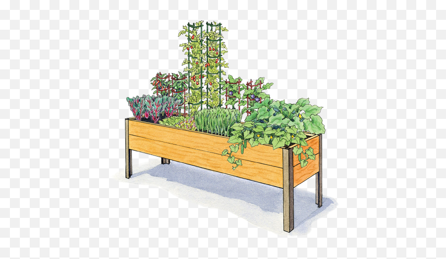 Mediterranean Garden 2x8 - Salad Garden Png,Vegetable Garden Icon