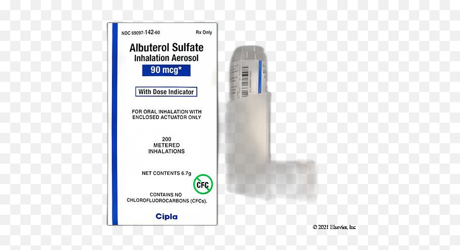 Albuterol Proair Ventolin Proventil Basics Side - Language Png,Airflow Icon 60 Review