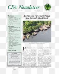 Pdf News From Guyana Cfa Newsletter December 2012 - New Economics For Women Png,Tree Canopy Png