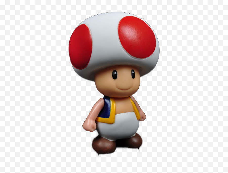 Toad mario. Тоад Марио. Гриб Тоад. Тоад в реальной жизни. Тоад грустит.