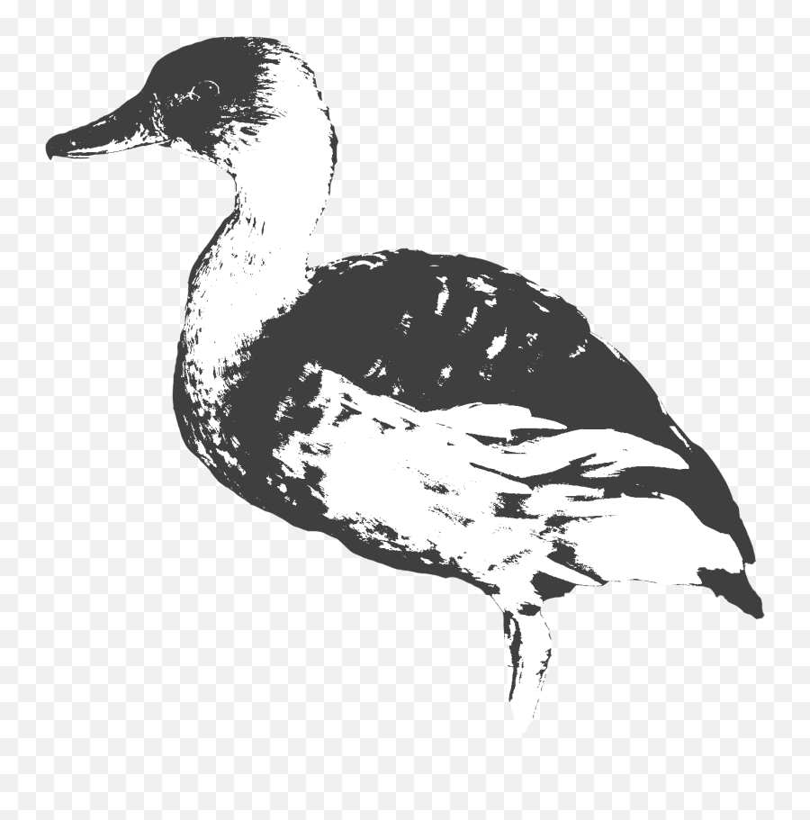 Hunt 41 - Domestic Duck Png,Duck Hunt Icon