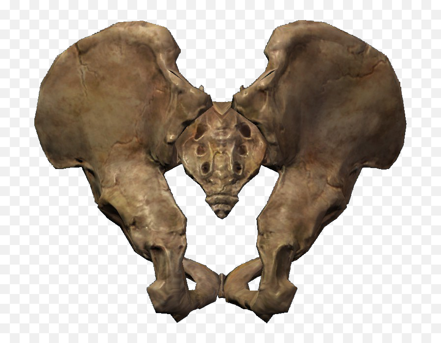 Dog Bone Clipart Free Png Images - Free Transparent Skyrim Pelagius Hip Bone,Bone Png