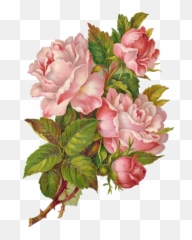 Victorian Flowers Vintage - Transparent Overlay Png