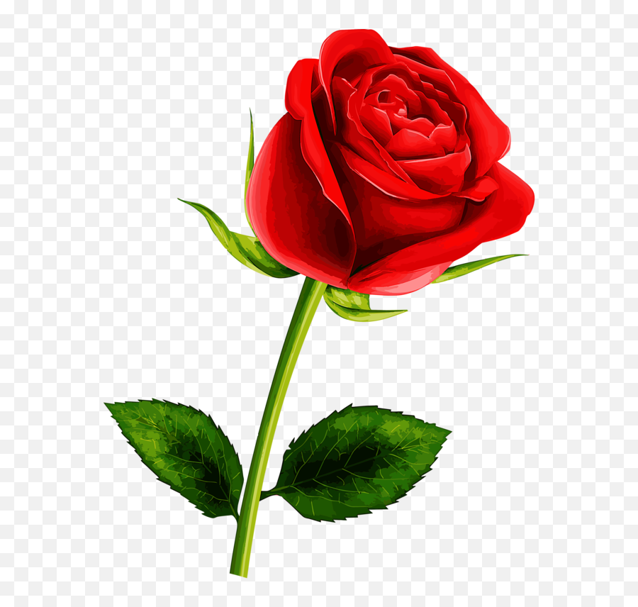 Soledad Red Flowers Pretty Roses Single - Single Rose Flower Png,Ea Png