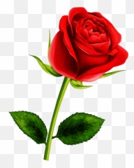 Soledad Red Flowers Pretty Roses Single - Single Rose Flower Png,Ea Png