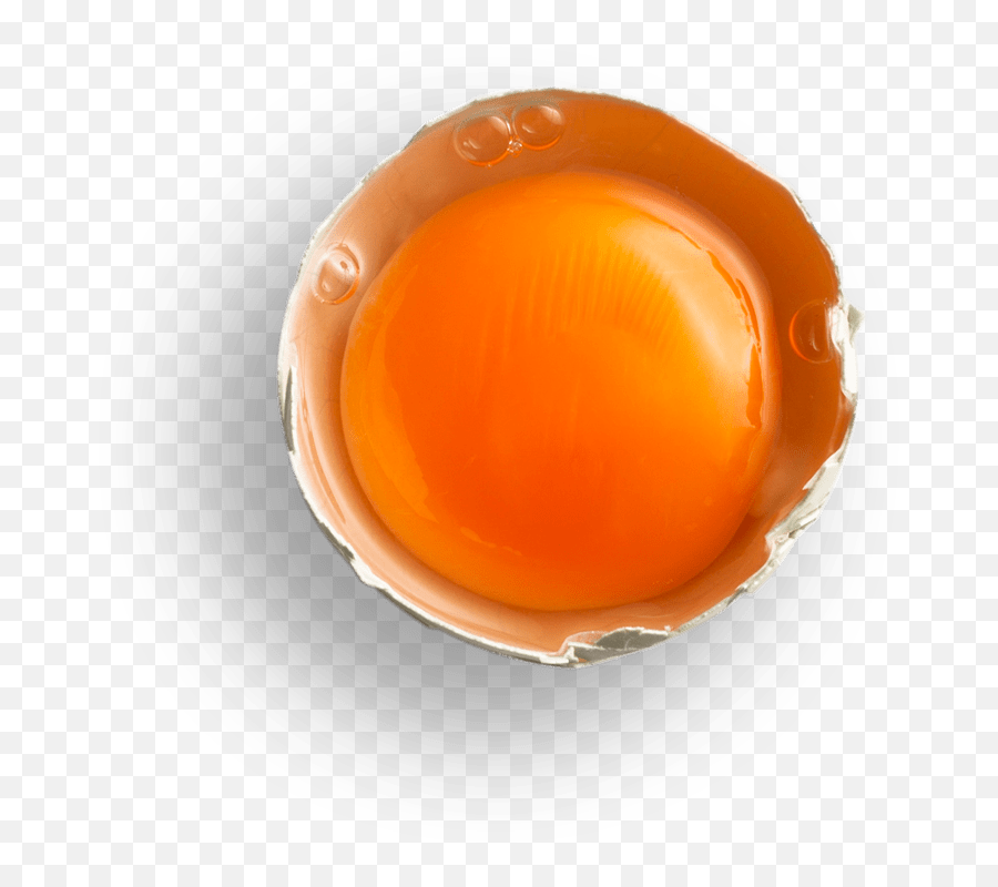 Free Range Eggs Always Choose Happy - Caramel Color Png,Eggs Transparent Background