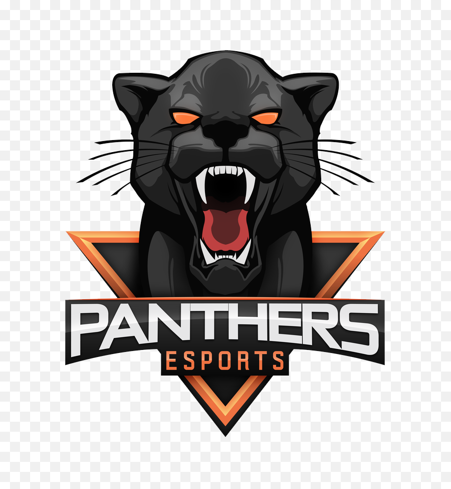 Roster Matches - Black Panther Esport Logo Png,Panthers Logo Png