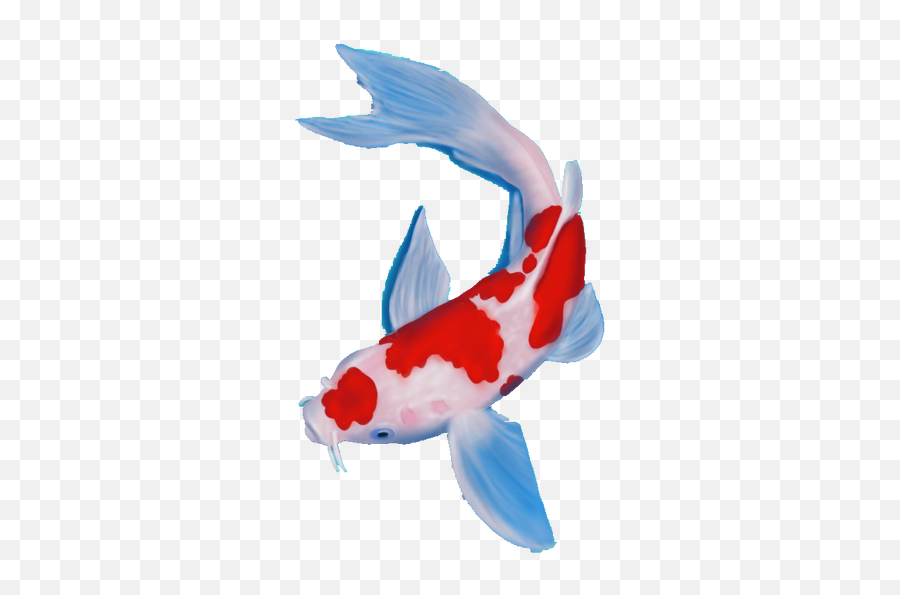 Waterfilter - Koi Png,Koi Fish Png