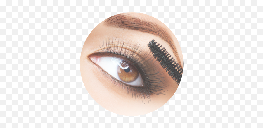 Download Brown - Eyes Disposable Eyelash Mascara Brushes Fluttery Lashes Png,Brown Eyes Png
