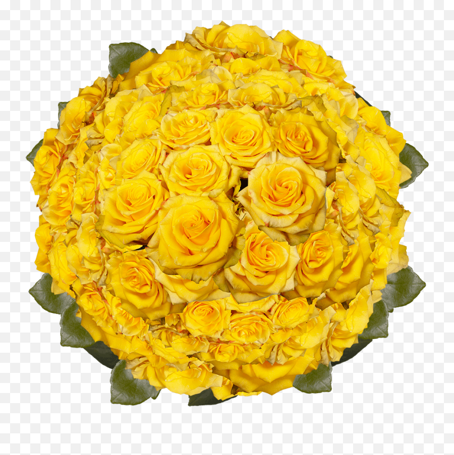 Globalrose 200 Fresh Cut Yellow Roses With Red Petals - High And Yellow Roses Fresh Flowers Wholesale Express Delivery Floribunda Png,Yellow Rose Transparent