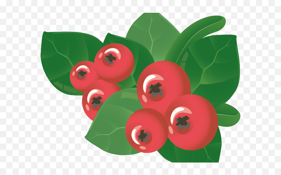 Download Berry Clipart Mango - Crown Of Thorns Png Image Goodberry Png,Crown Of Thorns Transparent Background