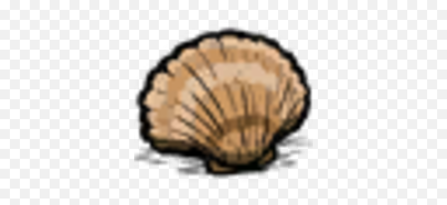 Seashell Donu0027t Starve Game Wiki Fandom - Starve Png,Seashell Transparent