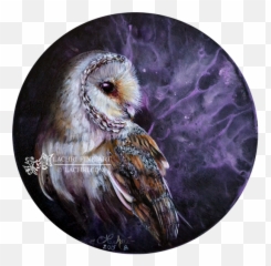 Download Lachri Fine Art Owl Hd Png - Uokplrs Painting Barn Owl,Barn Owl Png