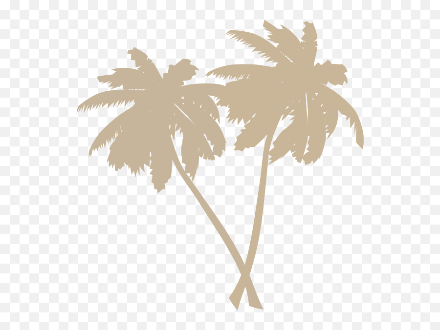 Download Hd Coconut Tree Png Black Transparent Image - Vector Transparent Palm Tree Png,Coconut Tree Png