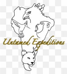 Pumas Of Patagonia - Us A Child Is Born Png,Patagonia Logo Font