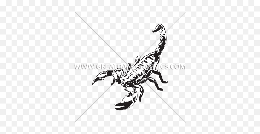 Scorpion Night Production Ready Artwork For T - Shirt Printing Scorpion Png,Scorpion Transparent Background