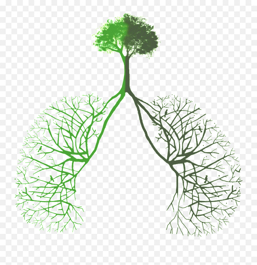 Lung Opening Made From Green Plants - Transparent Tree Lungs Png,Lung Png