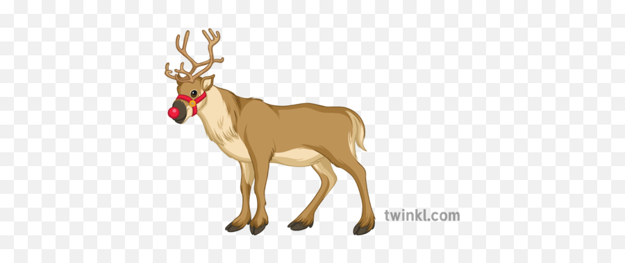 Christmas Reindeer Illustration - Animal Figure Png,Christmas Reindeer Png
