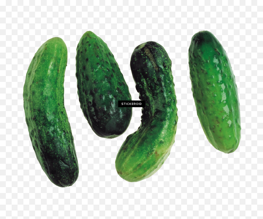 Download Cucumbers Cucumber - Cucumber Png Image With No Portable Network Graphics,Cucumber Png