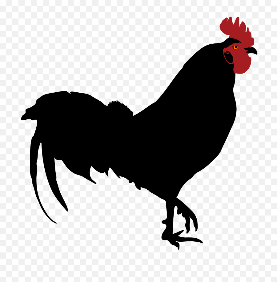 Rooster Silhouette Chicken Clip Art - Rooster Silhouette Png,Rooster Png