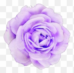 Pastel Purple Flower Sticker By - Aesthetic Purple Flower Png
