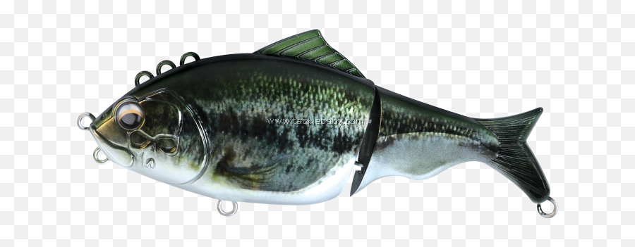 Bone Focus 130mm 40g Largemouth Bass - Forage Fish Png,Largemouth Bass Png