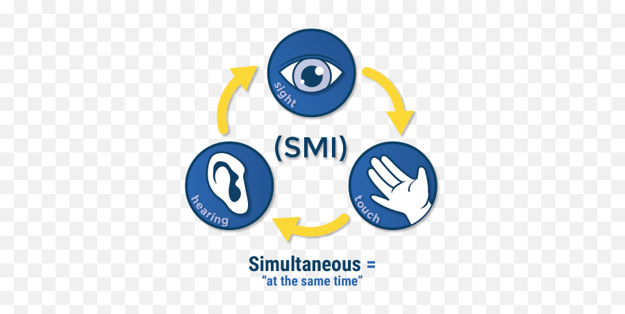 Multisensory Teaching For Reading And - Multisensory Approach Png,5 Senses Icon