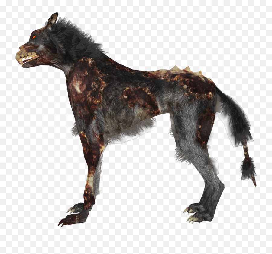 Zombie Dog Png - Call Of Duty Wolf,Dogs Png