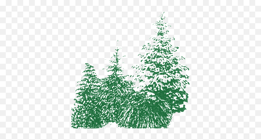 Edwin Smits Conifers - Boreal Conifer Png,Pocahontas Gif Icon