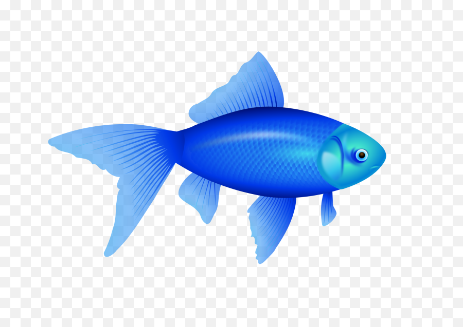 Clip Png Fish Clipart Transparent