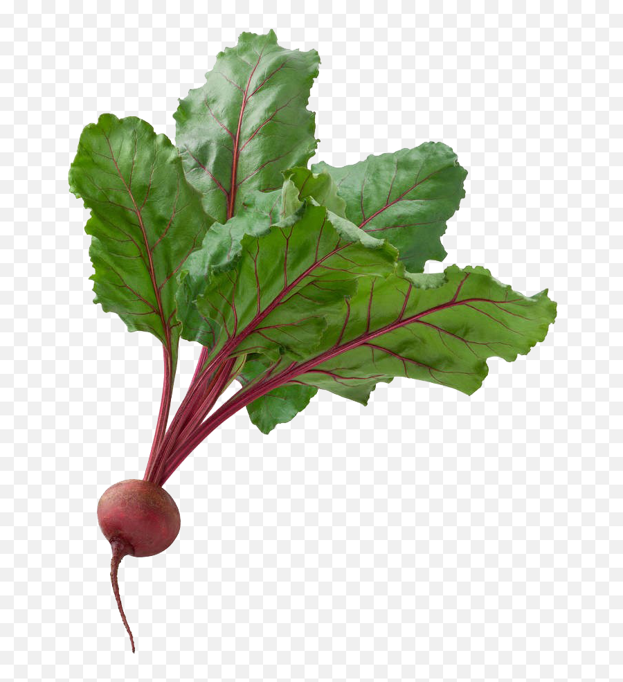 Download Free Beetroot Fresh Png File Hd Icon Favicon - Beets Transparent Background Png,Beet Icon