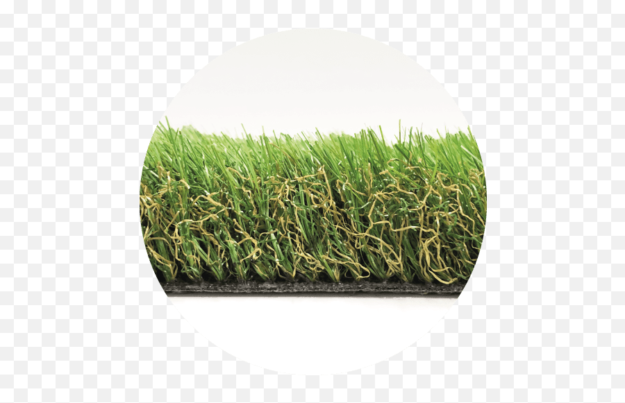 Core Lawn - Artificial Grass Fake Lawns No Mowing Or Lawn Png,Grass Texture Png