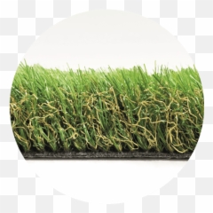 Core Lawn - Artificial Grass Fake Lawns No Mowing Or png
