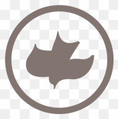 Ccrb - Calvary Chapel Tucson Logo png