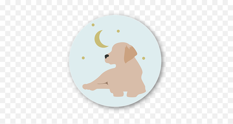 Pet Sitting Walking U0026 More - On The Move Pet Care Full Moon Png,Dog Sitting Icon