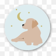 Pet Sitting Walking U0026 More - On the Move Care Full Moon png