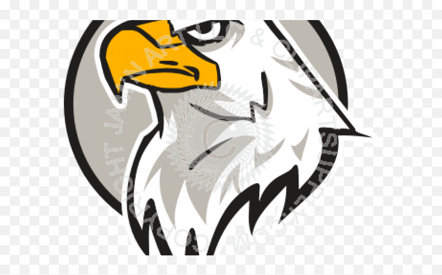 Clipart Of The Day - Eagle Head Png,Eagle Head Png
