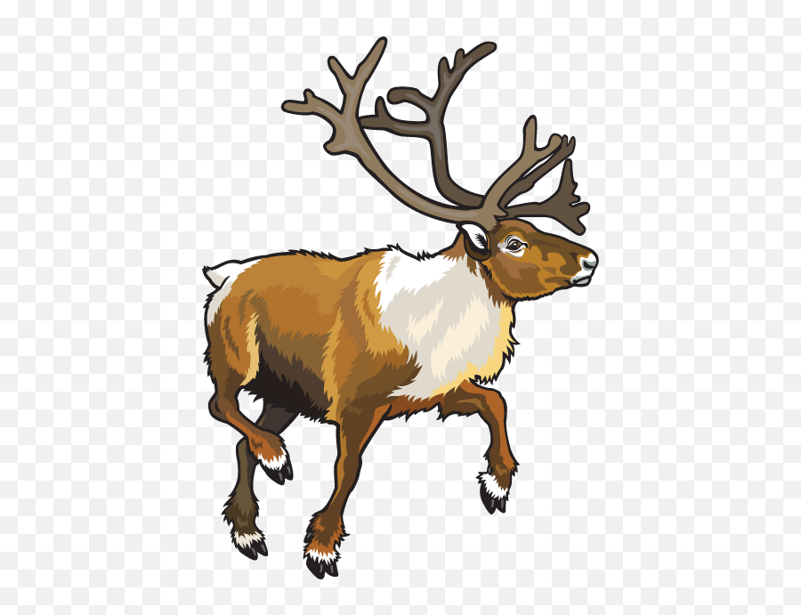 Free Png Animal - Konfest,Caribou Png