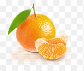 Andros - Clémentine Png,Clementine Png