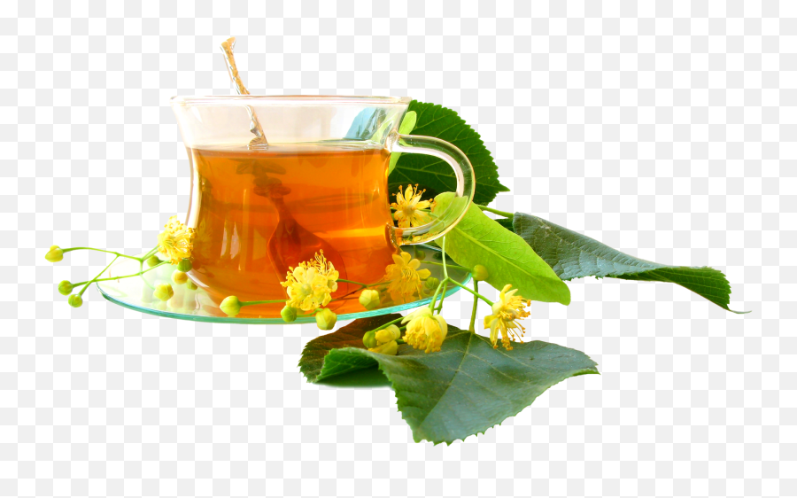 Herbal Tea Png Images - Herbal Tea Png,Tea Png