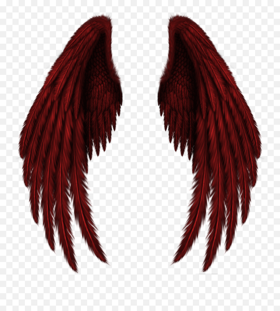 Library Of Red Wings Vector Transparent Download Png Files - Wings Picsart,Pilot Wings Png