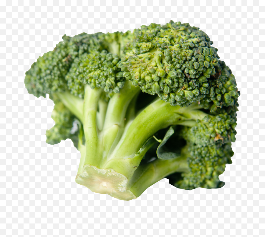 Broccoli Png Image - Does 50g Of Broccoli Look Like,Broccoli Transparent