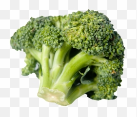 Broccoli Png Image - Does 50g Of Broccoli Look Like,Broccoli Transparent