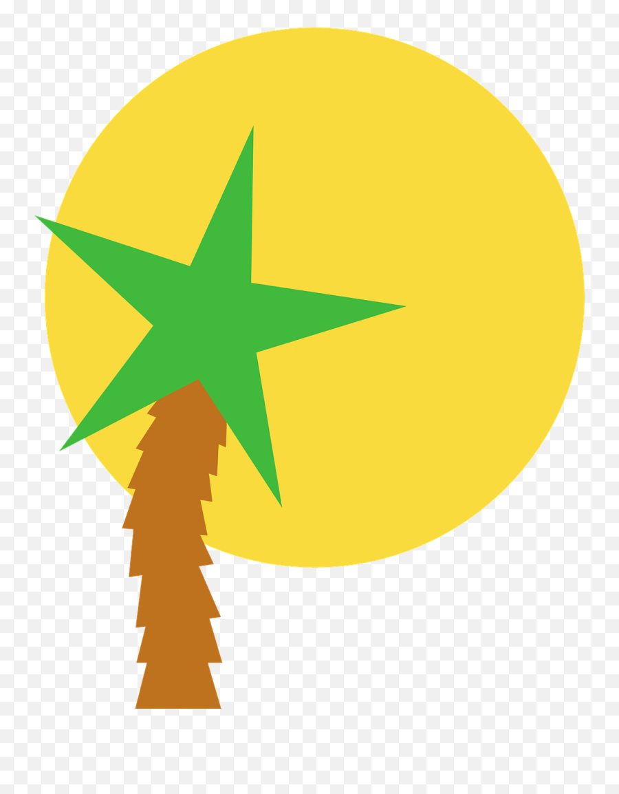 Sun Star Palm - Free Vector Graphic On Pixabay Logo Verano Png,Free Vector Logo