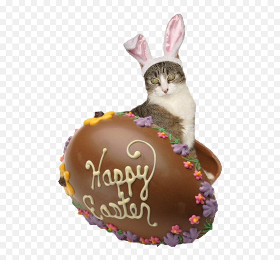 Easter Bunny Chocolate Png Free - Chocolate Easter Eggs,Chocolate Bunny Png