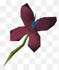 Red Vine Blossom Runescape Wiki Fandom - Illustration png