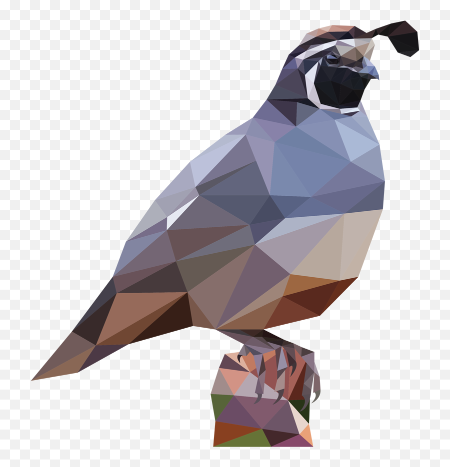 Prism U2014 Jbatesart Png Quail