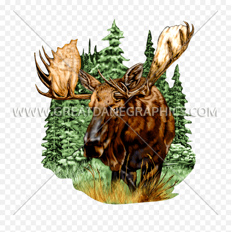 Wildlife Moose Production Ready Artwork For T - Shirt Printing Elk Png,Moose Png